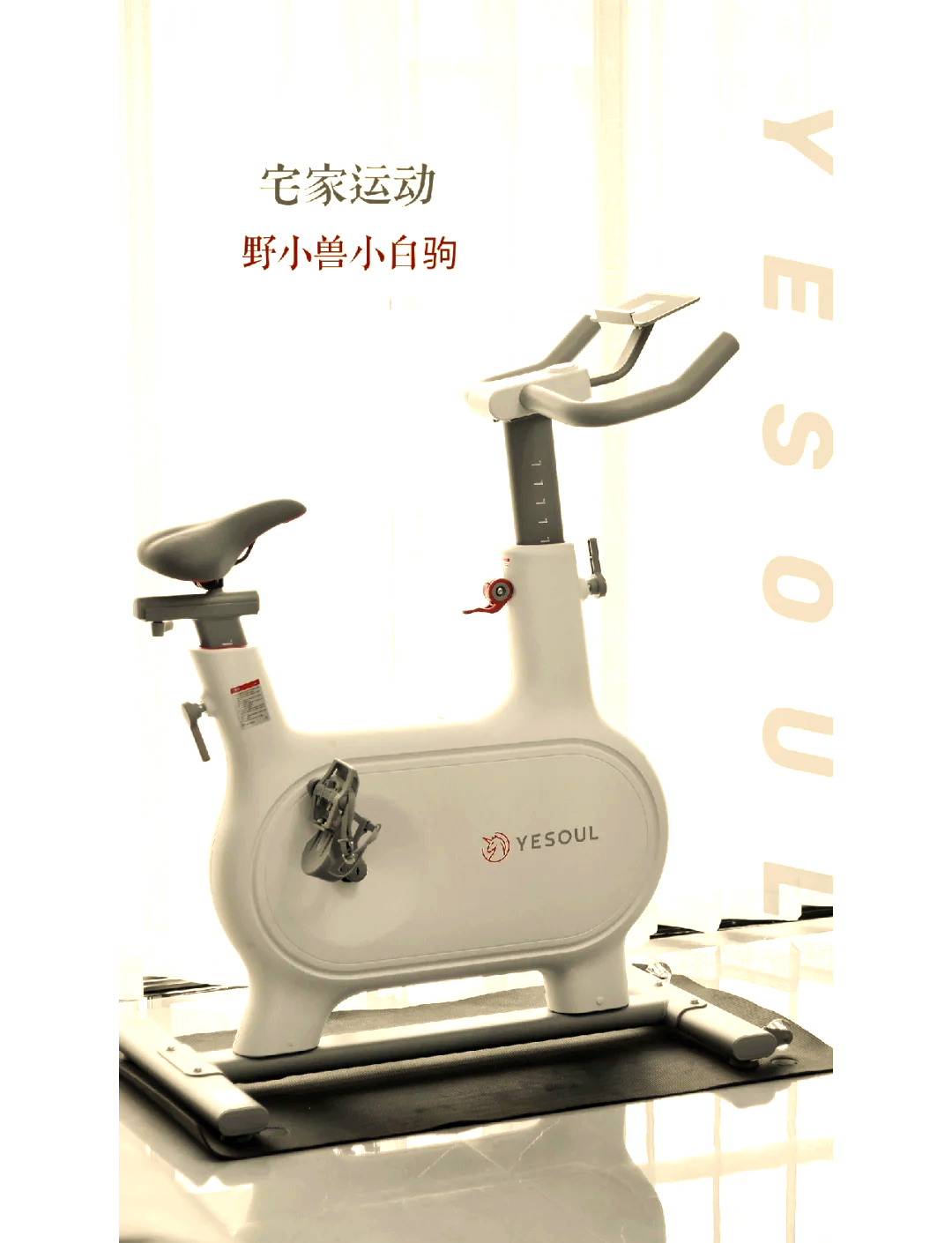 野小獸動感單車京東優惠,原價3499現1999_行情