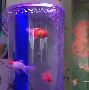 【魚缸計算器】魚缸計算器1.01綠色免費版