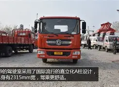占賓白