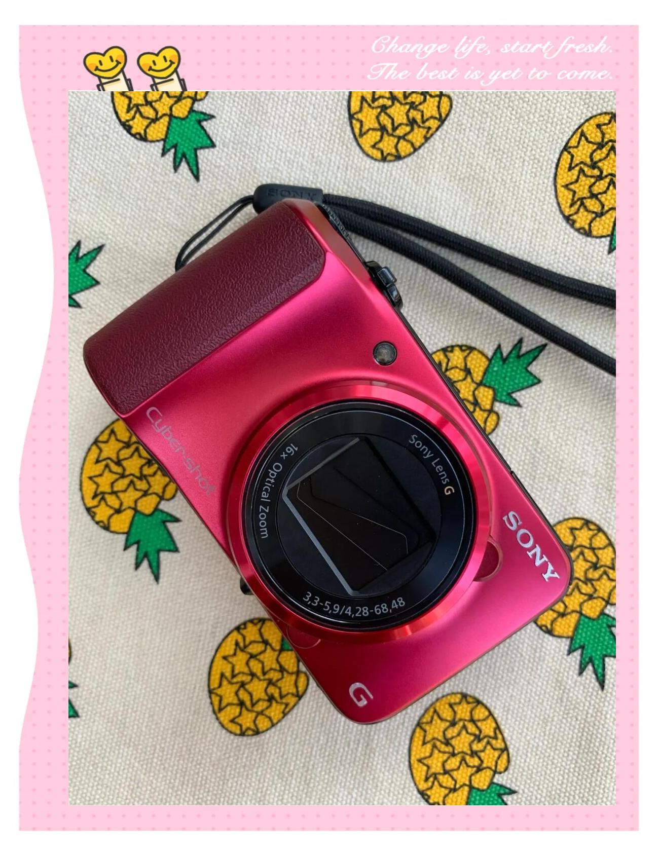 索尼(SONY)J10數碼相機微距樣張評測