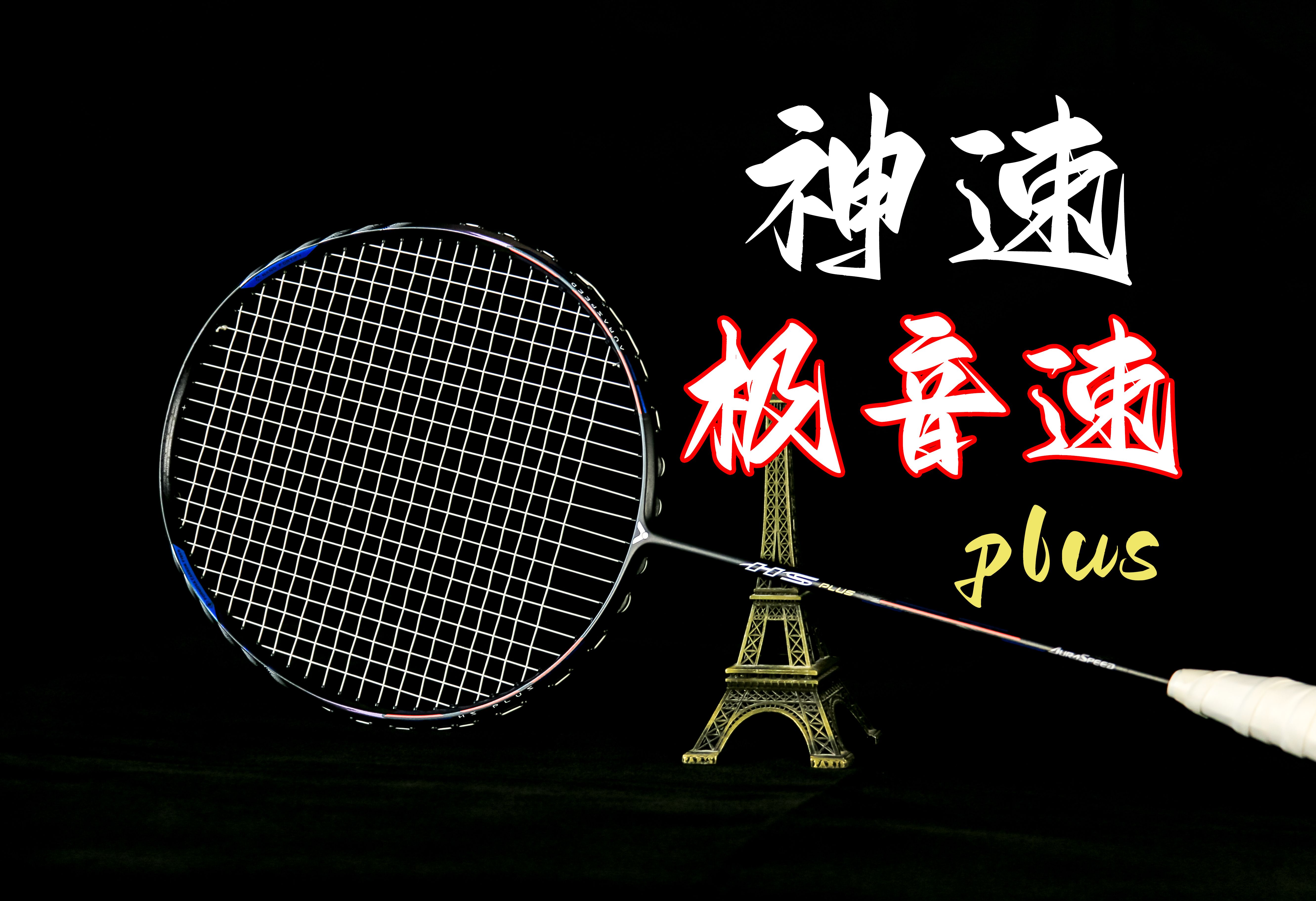 禽悌