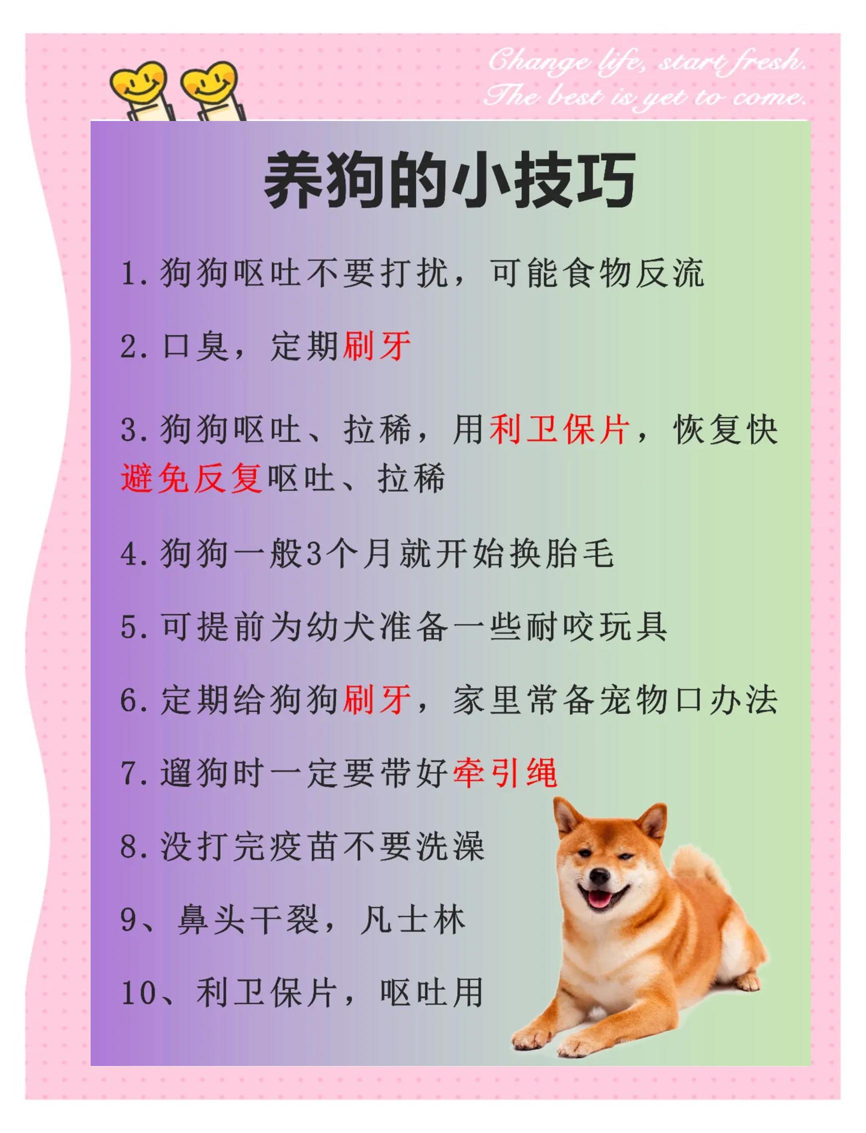 鄢飲