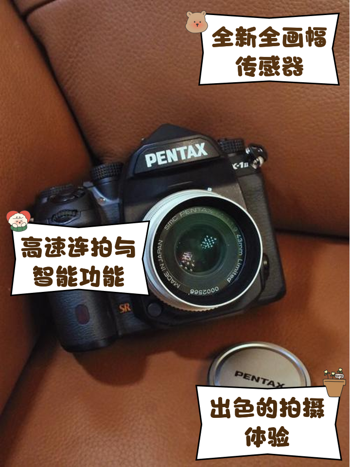 宇新柔