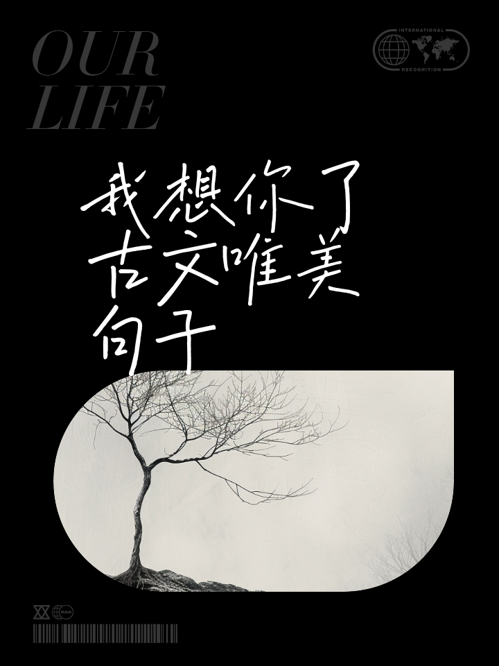 沈雅志
