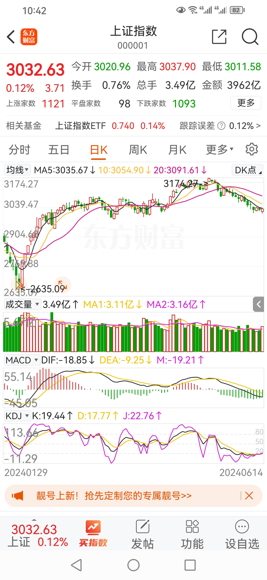 稽念蕾