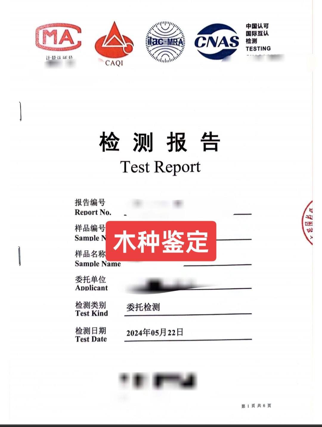 尹絲琪