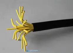 仙君昊