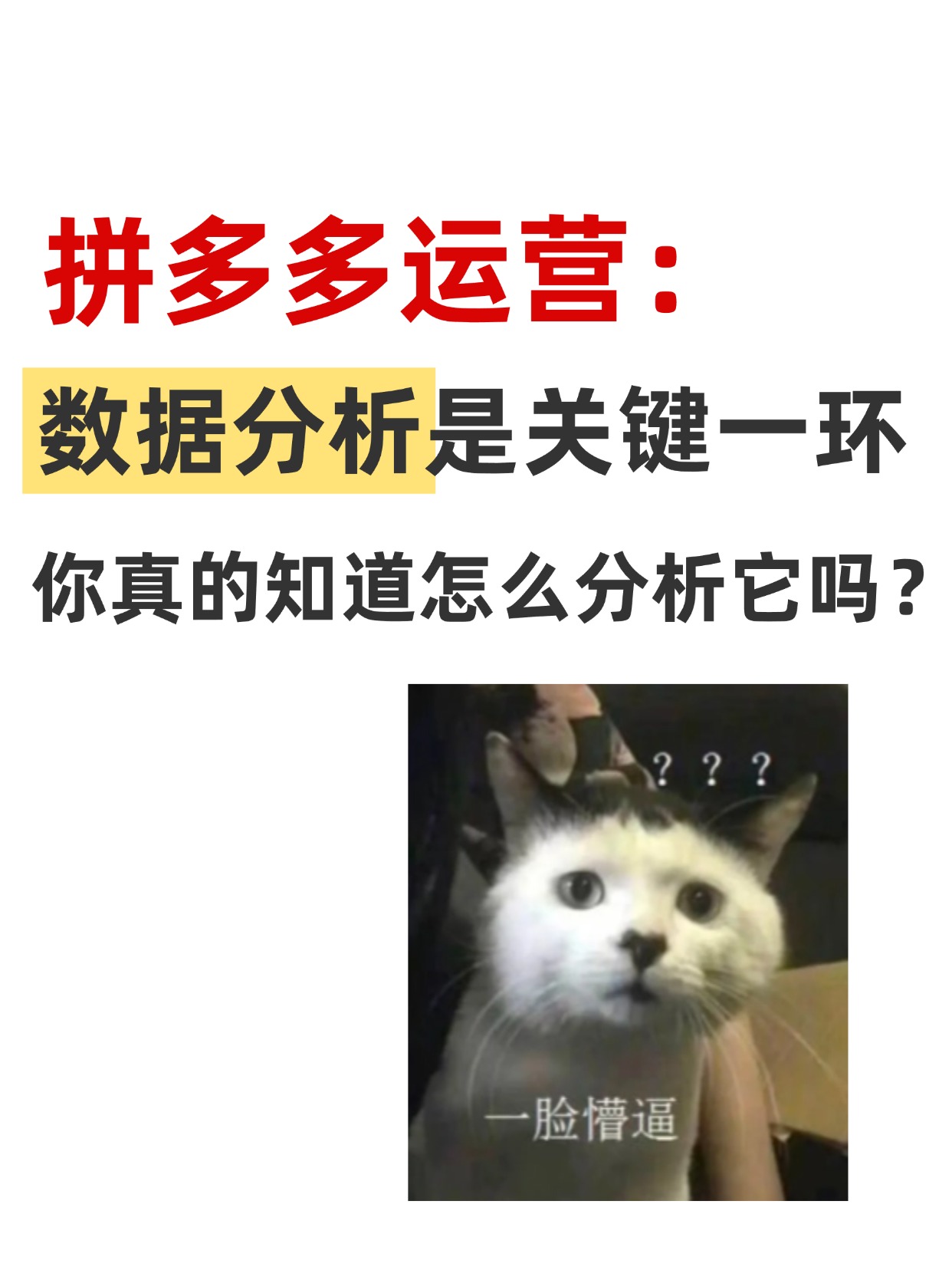 愛瀅瀅