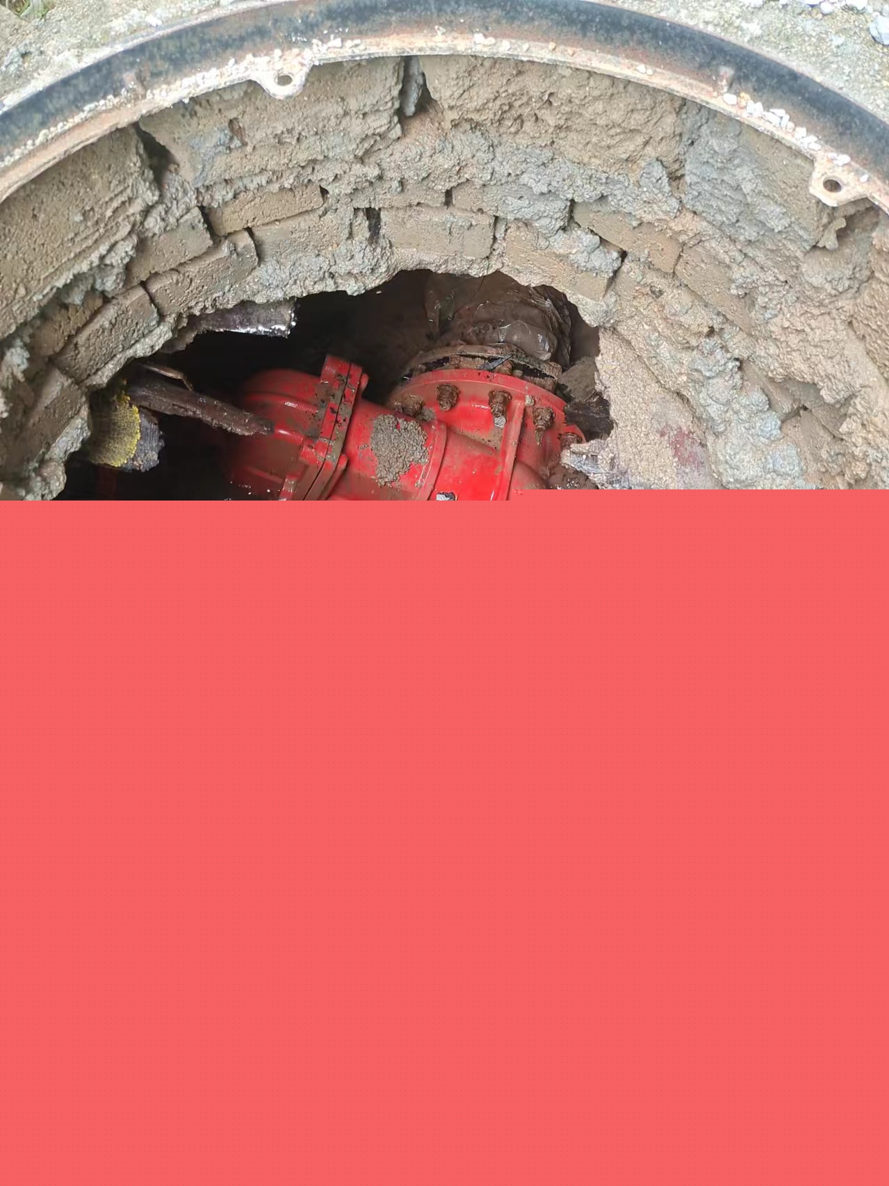 糜仙