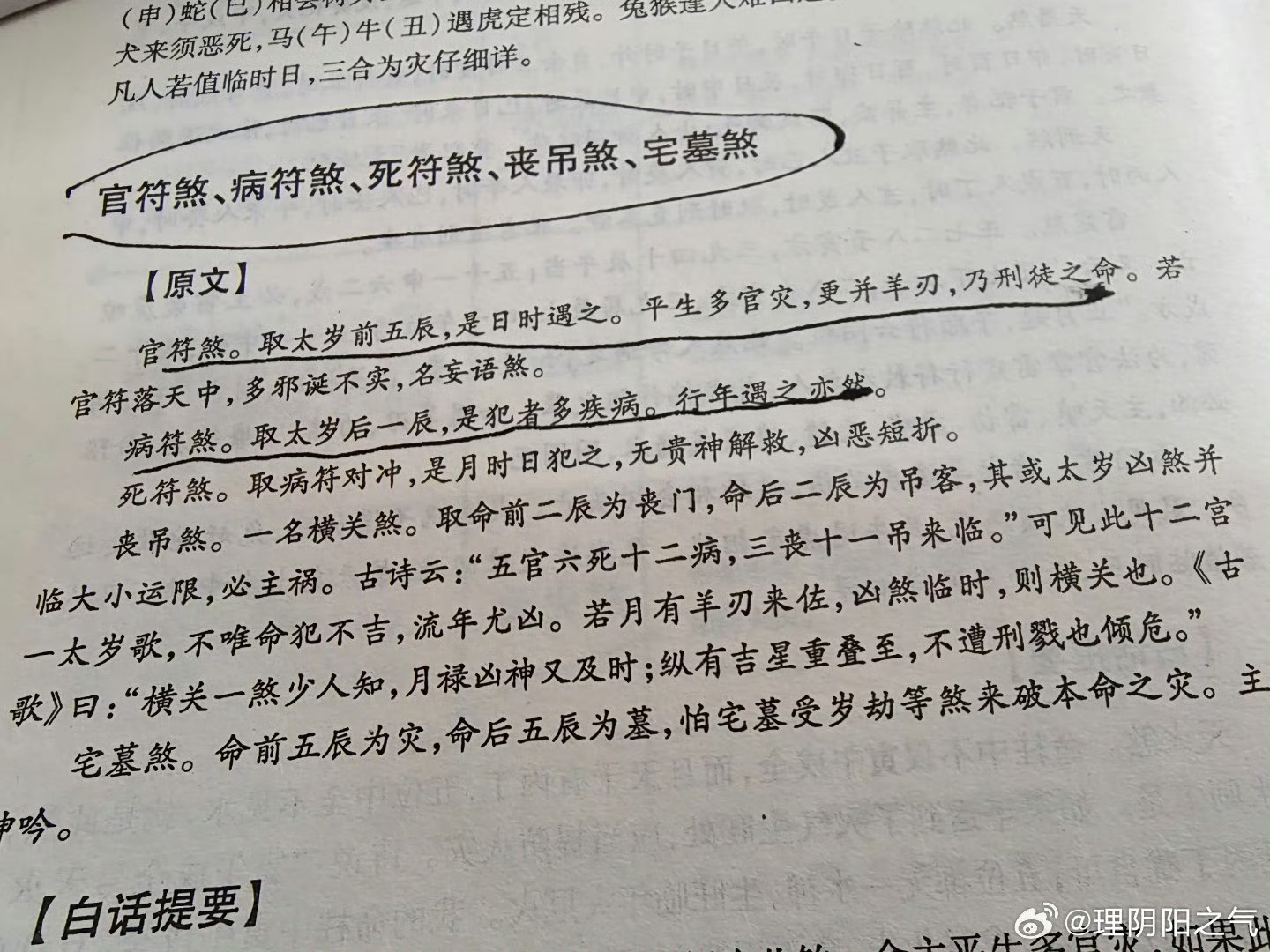 龐悠馨