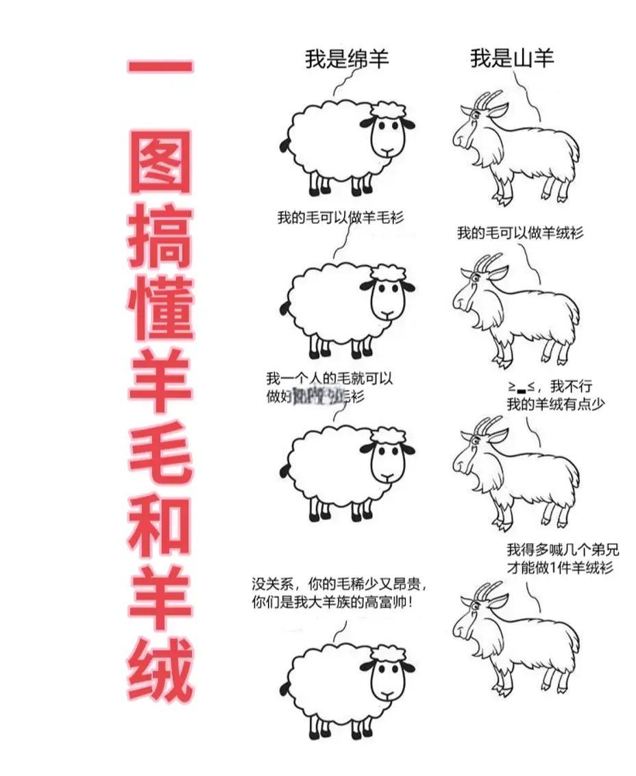 羊毛和羊絨到底有什么區(qū)別?90%的人都不知道!