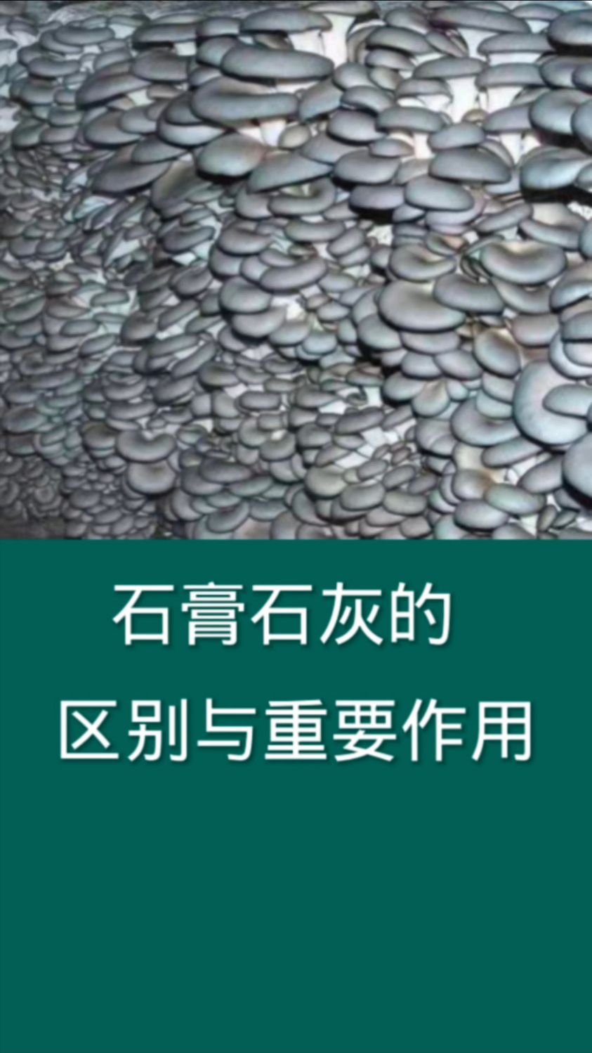 生石膏和熟石膏的區別化學名稱以及它們的用途