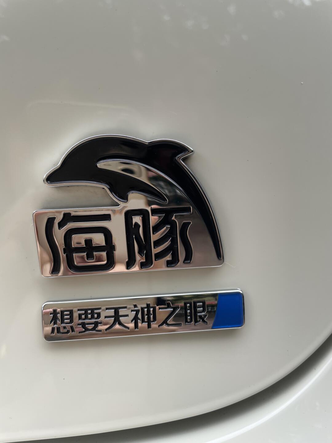 揭秘粵港澳比亞迪車牌號:獨特標識與背后的故事