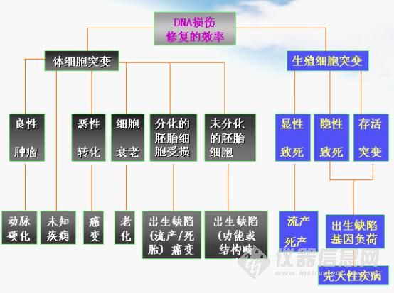 什么是細胞毒性試驗?細胞毒性檢測具體包括哪些內容?