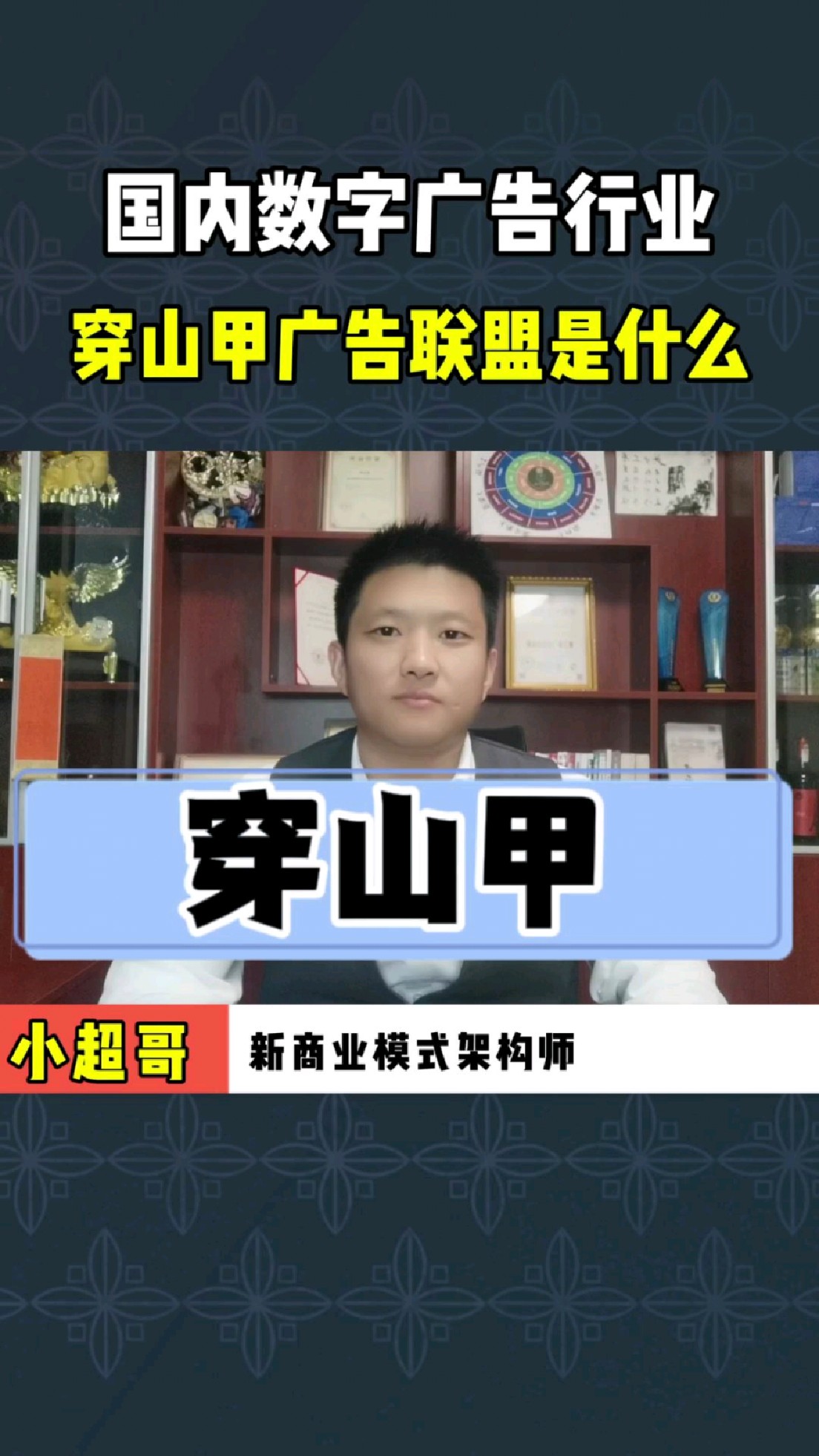 什么是穿山甲廣告?廣告聯(lián)盟搭建看廣告賺錢的軟件