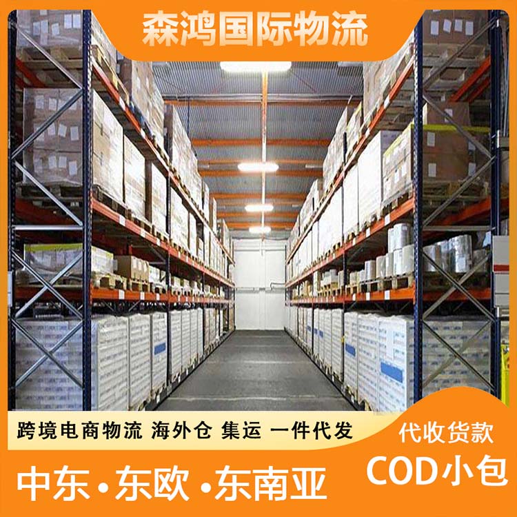 波蘭COD小包跨境電商物流海外倉一件代發波蘭COD快遞