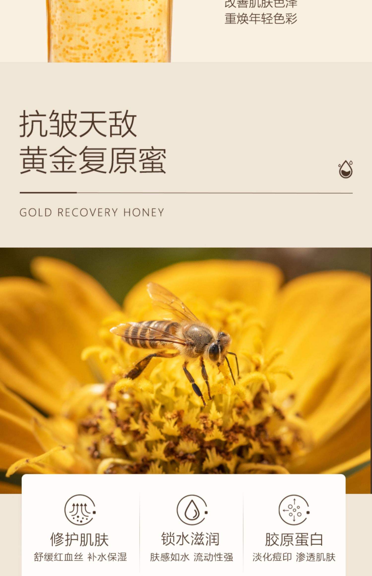 蜂產品加盟、代理/蜂蜜專賣/免加盟費、圣貝特