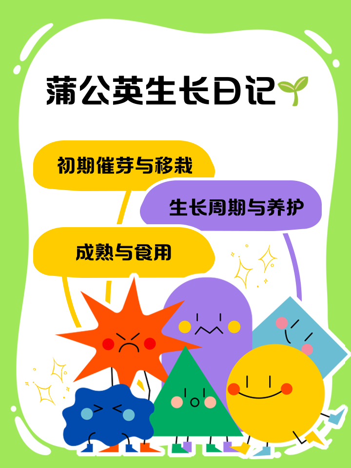 這里告訴你小紅書蒲公英平臺入口在哪?發布筆記精髓是什么?