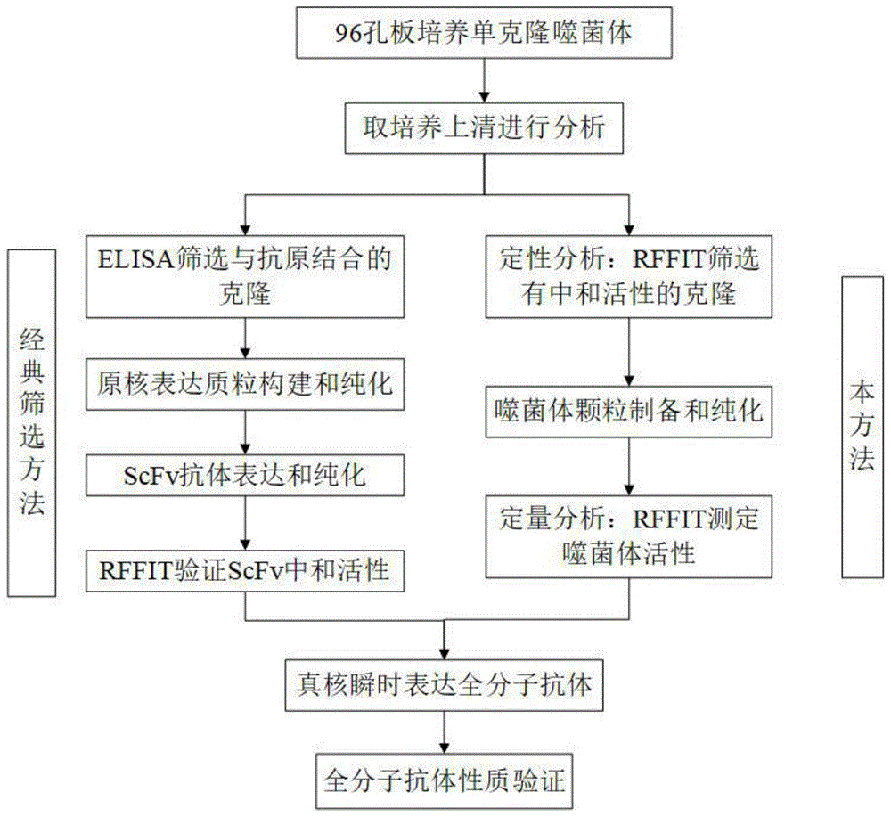 什么是中和性抗體?中和性抗體試劑盒怎么辦理法國白名單?