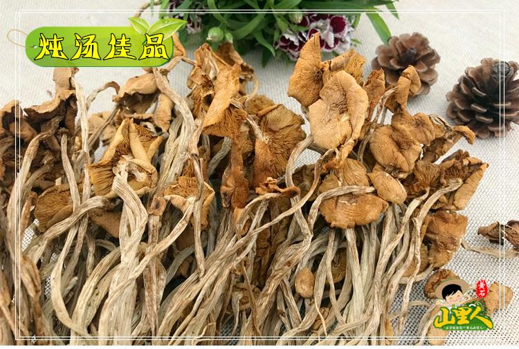 特級干茶樹菇茶干貨樹菇特產天然茶樹菇特產綠色食品