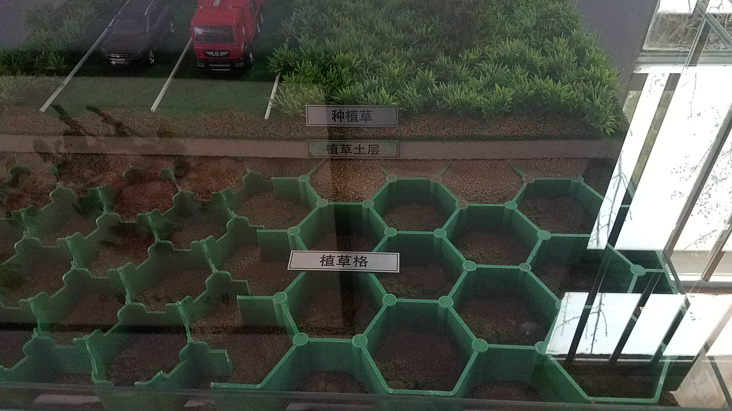 草坪鋪裝植草格布地ZCG-500400*500