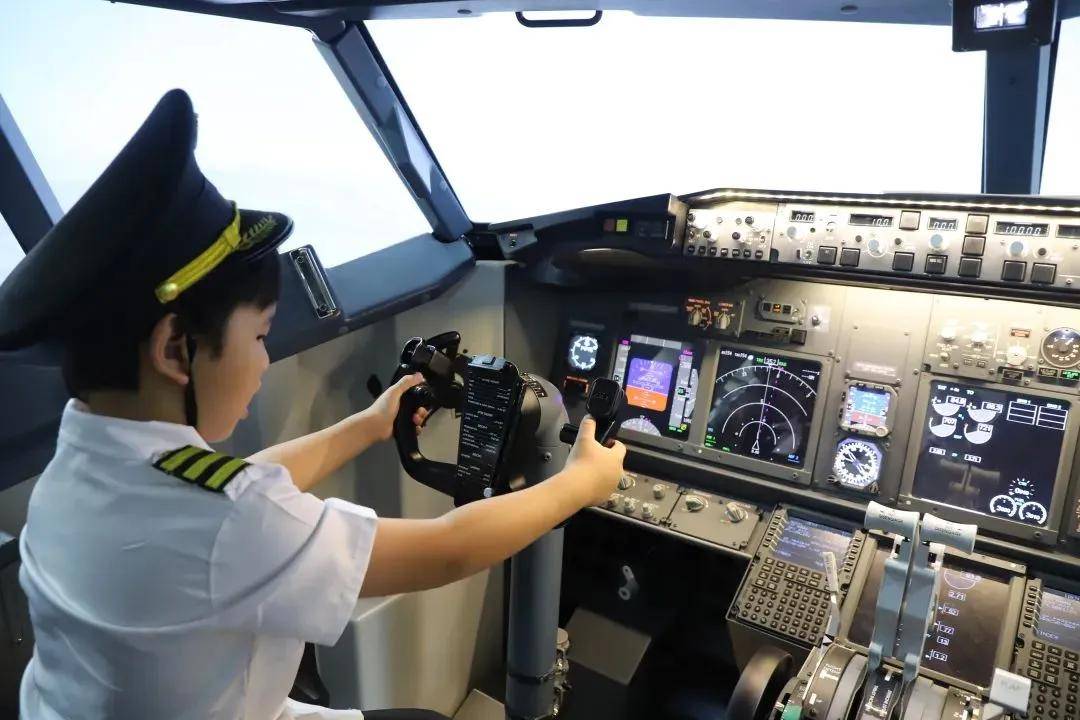 一種虛擬仿真系統,可以模擬多種飛行環境和飛機操作模式