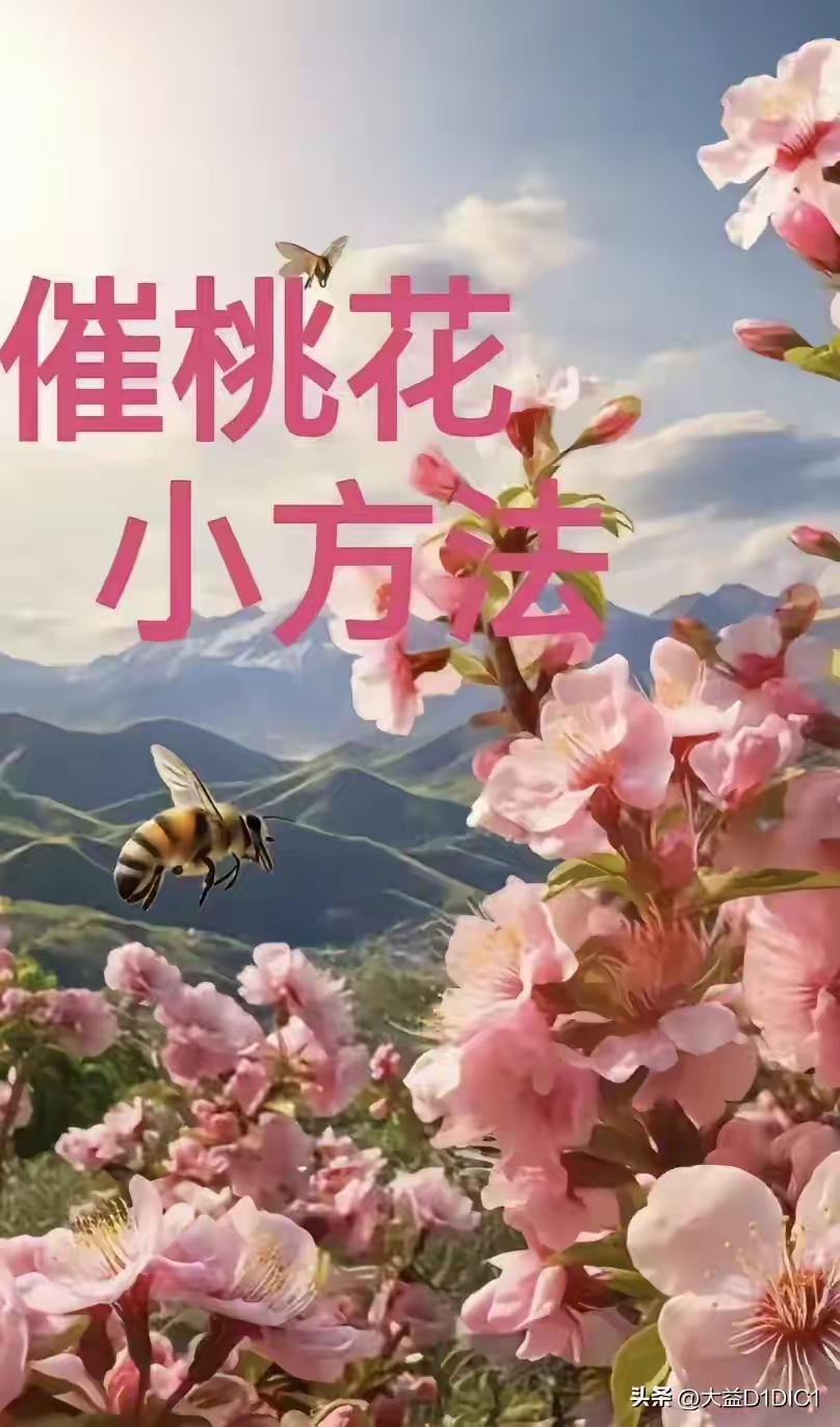 桃花運來的征兆怎么知道自己的桃花運什么時候才能來