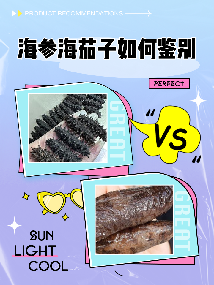 批發海參茄子參/海茄子/大號烏參1斤12頭左右1件=1斤