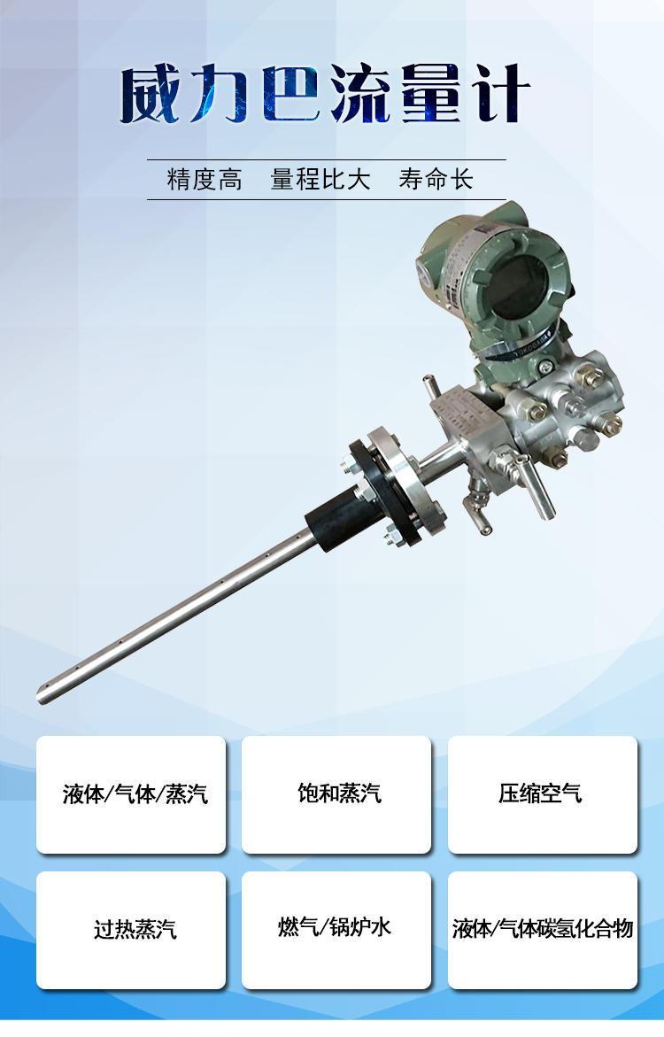 威力巴流量計流量計供應威力巴流量計國產威力巴流量計