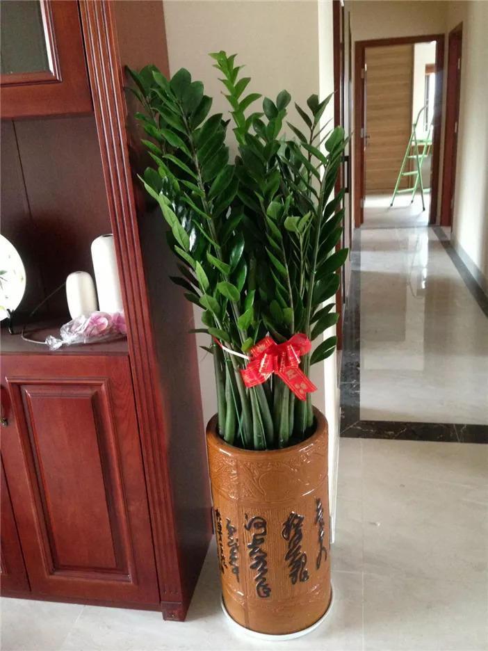 有人知道關于家里放假花好嗎客廳放假花風水好不好