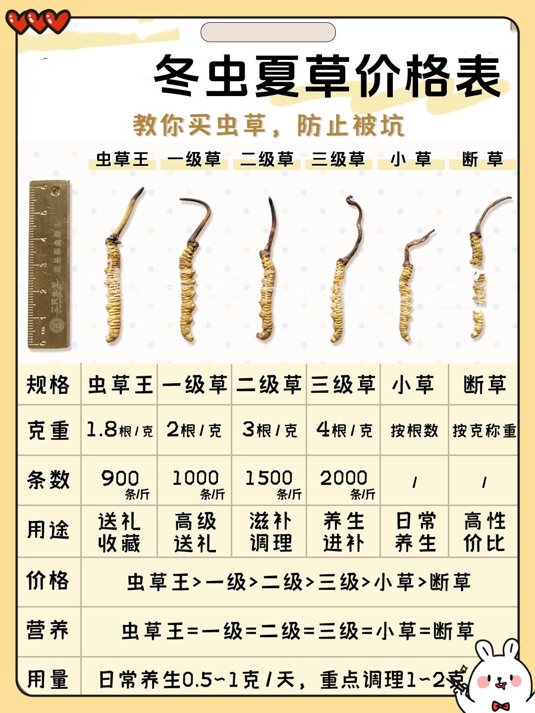 冬蟲夏草需要怎樣才能在電商平臺上售賣?需要什么資質嗎?