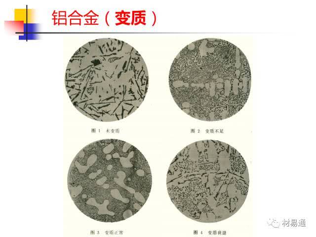 2025年8月1日 第52頁