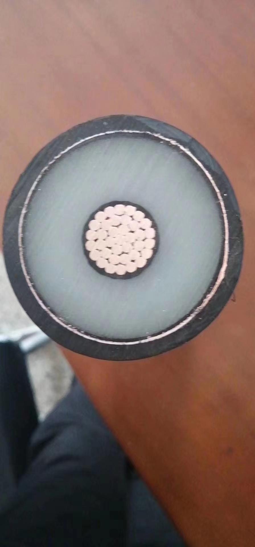 電力電纜BPFFP耐高溫變頻電纜天聯BPFFP