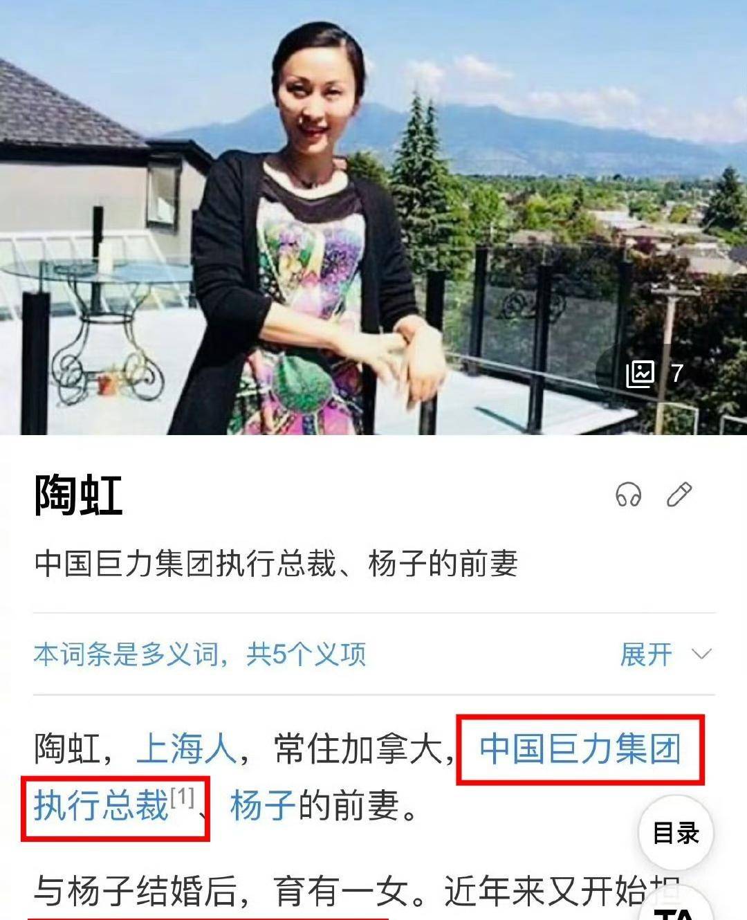 中國巨力集團