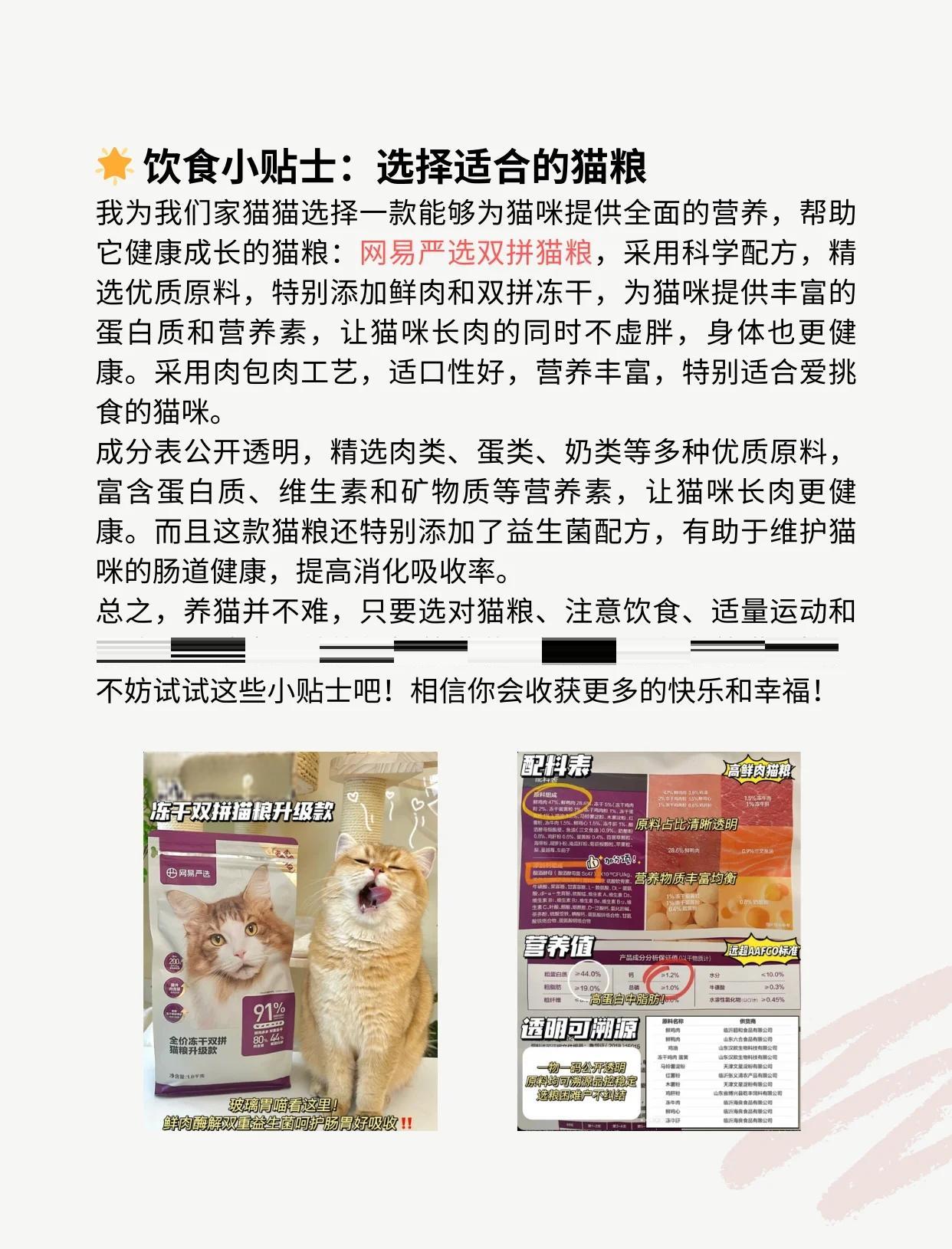 貓享是什么?怎么入駐貓享?這篇文章將會給你啟發(fā)