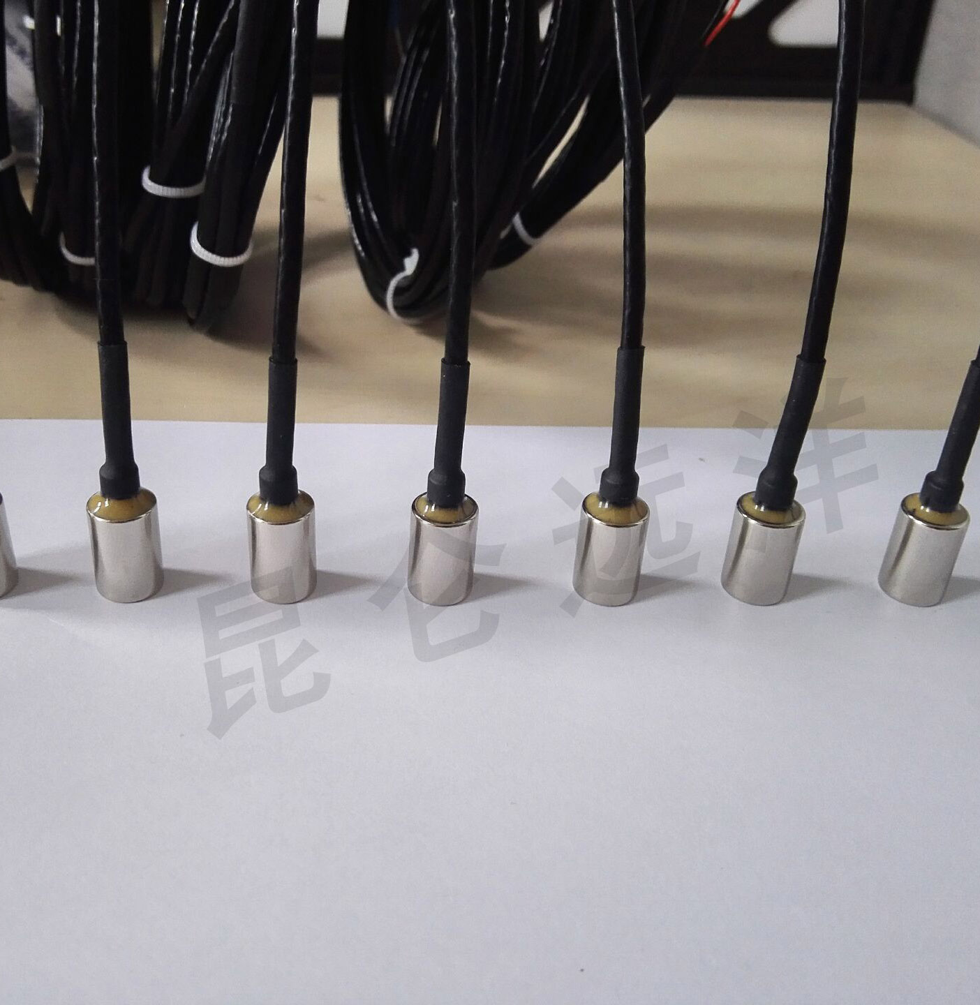 HeraeusPT100L2201/10B級薄膜鉑電阻高精度±0.03℃