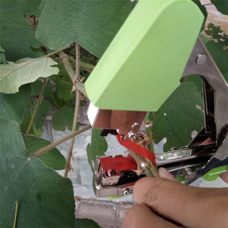 韓國環保綁枝器/節束器/綁蔓器/綁枝機/綁藤器