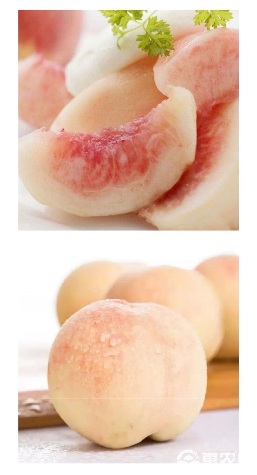 新鮮蜜桃新鮮水果產(chǎn)地直銷蜜桃,精品蜜桃,口味