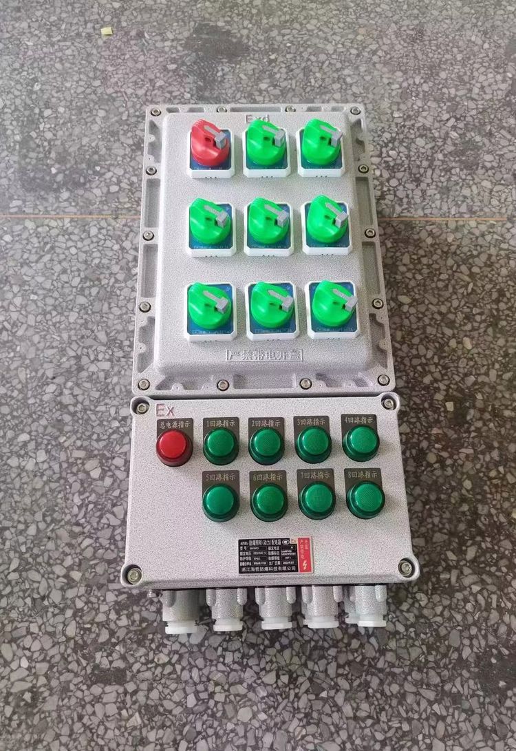 ExdIIBT4防爆配電箱300*600*180