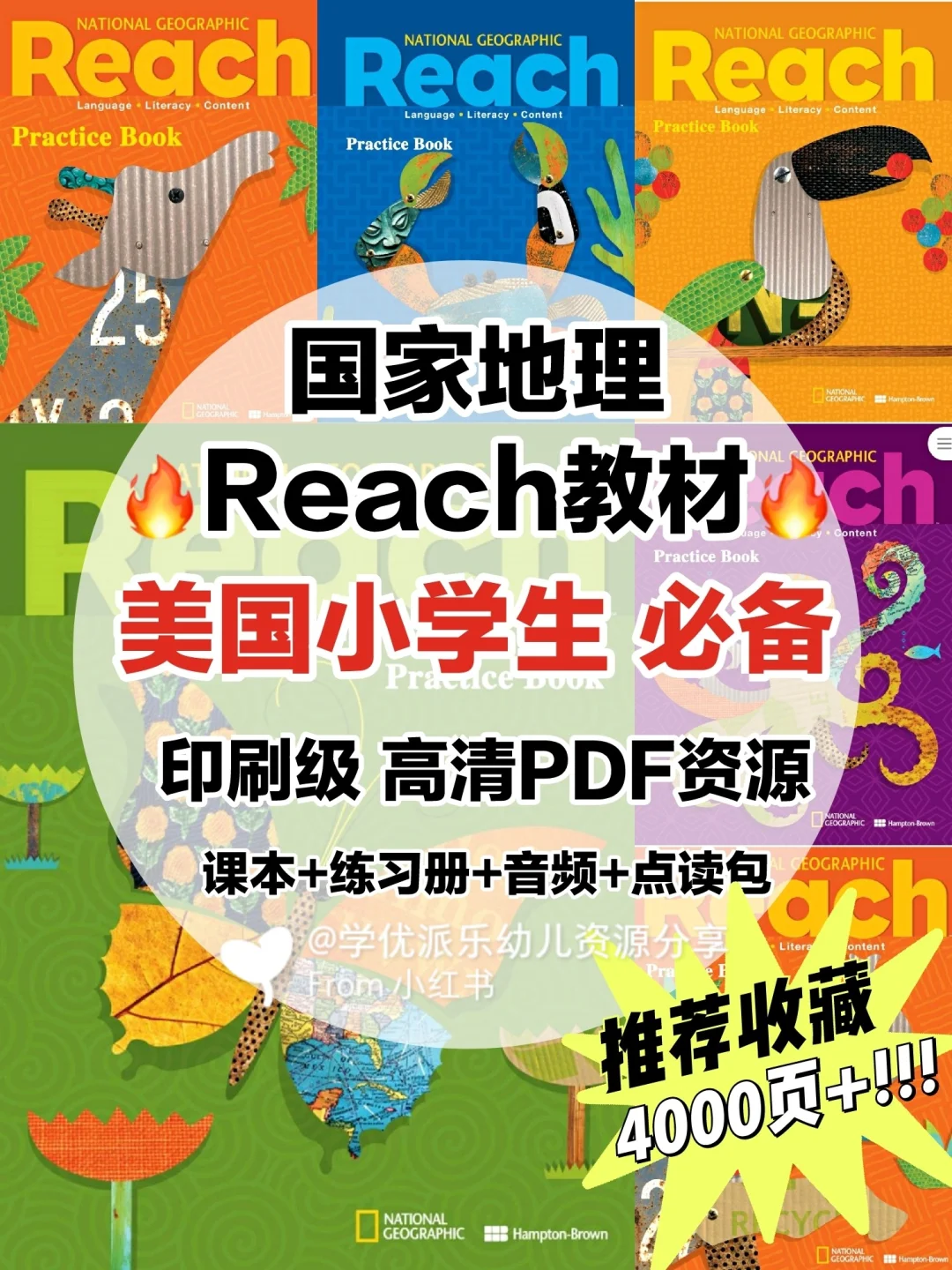 牛傲絲