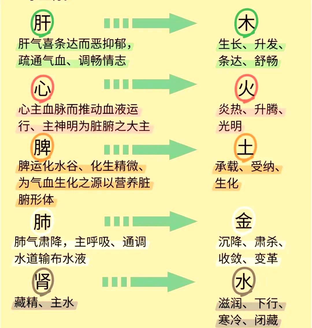 五行數字被廣泛運用于哲學、中醫學、占卜等領域