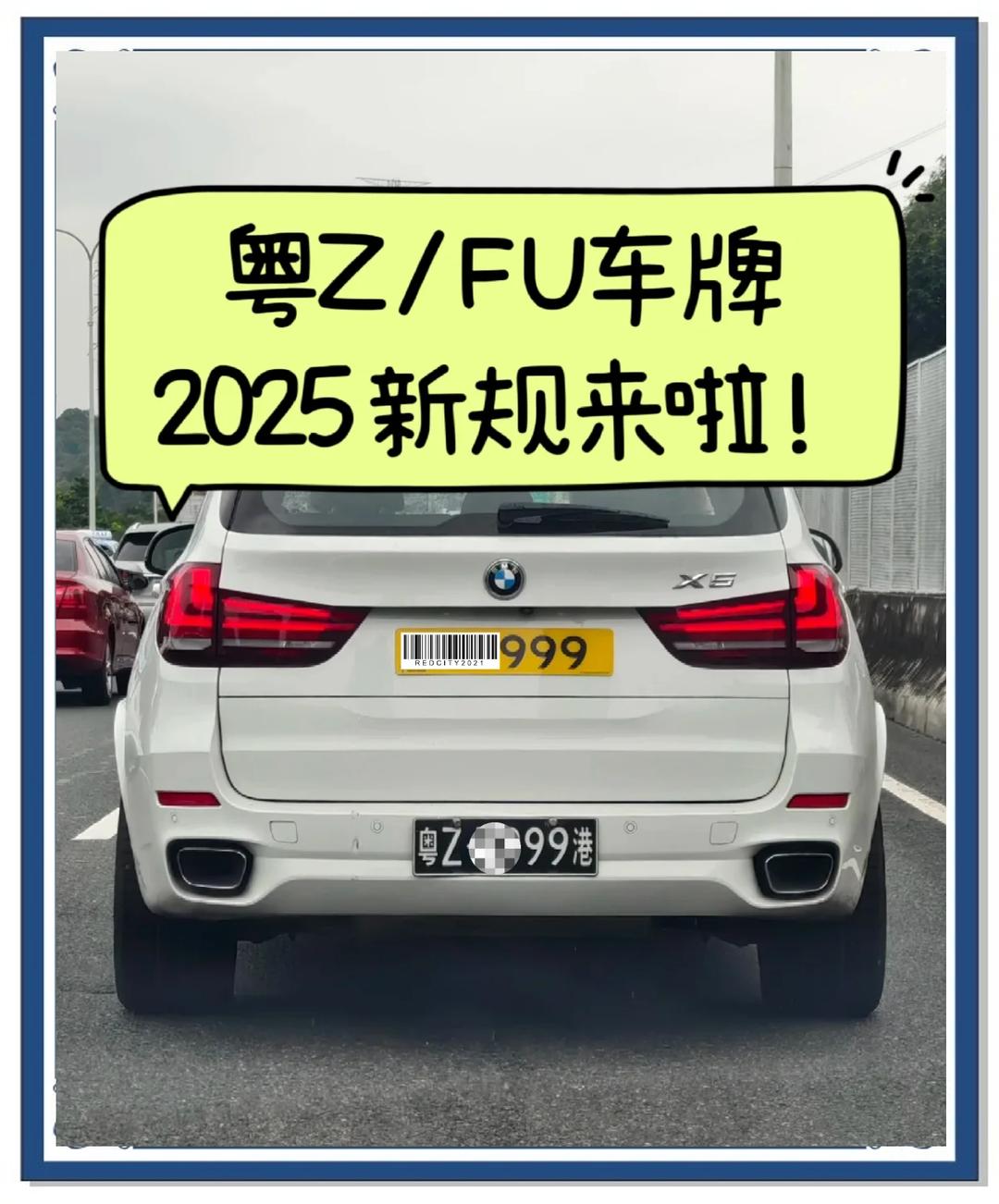 車牌(粵Z黑牌、Fv黃牌)