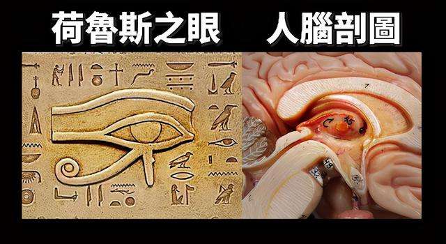 全球發售GBEC全腦開發智慧機(激活松果體,開發ESP能力)
