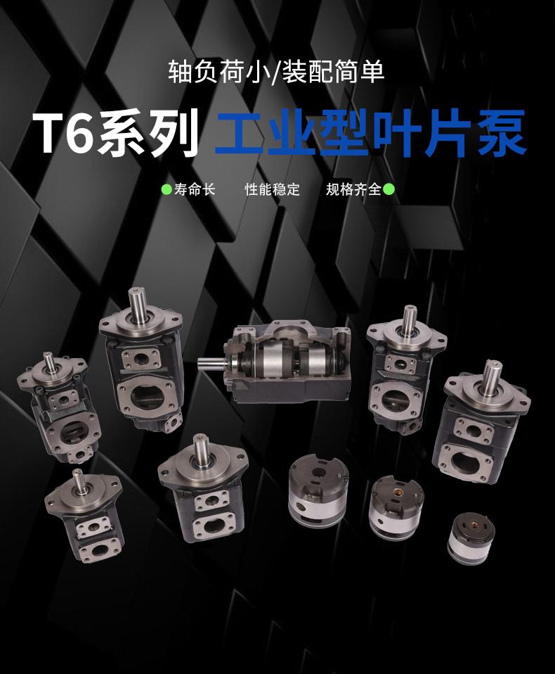 DENISON丹尼遜T6E-85-1900-1A1M派克雙聯油泵T6CT6D葉片泵
