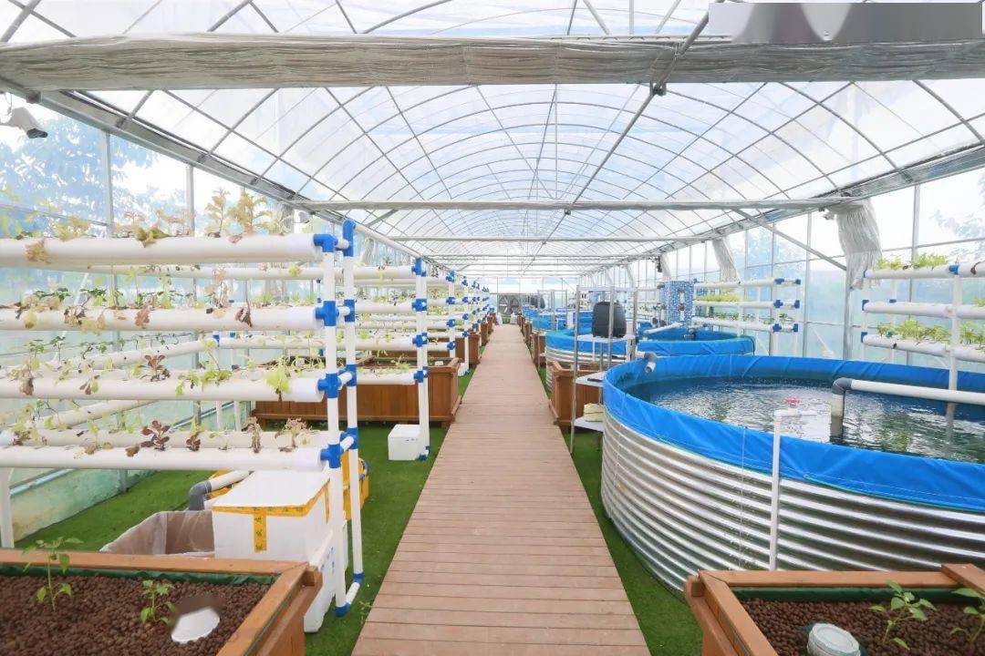 電視購物新奇產品功能多樣化養魚種菜臺燈一年輕松掙百萬