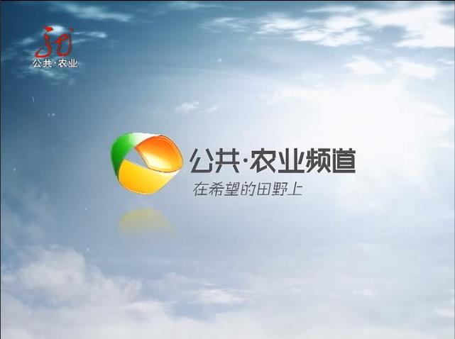 黑龍江交通電臺廣播廣告投放,黑龍江電臺廣告價格及折扣