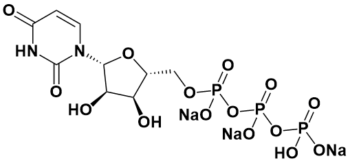 假尿苷PseudouridineCAS號1445-07-4柯萊生物原料藥API視頻