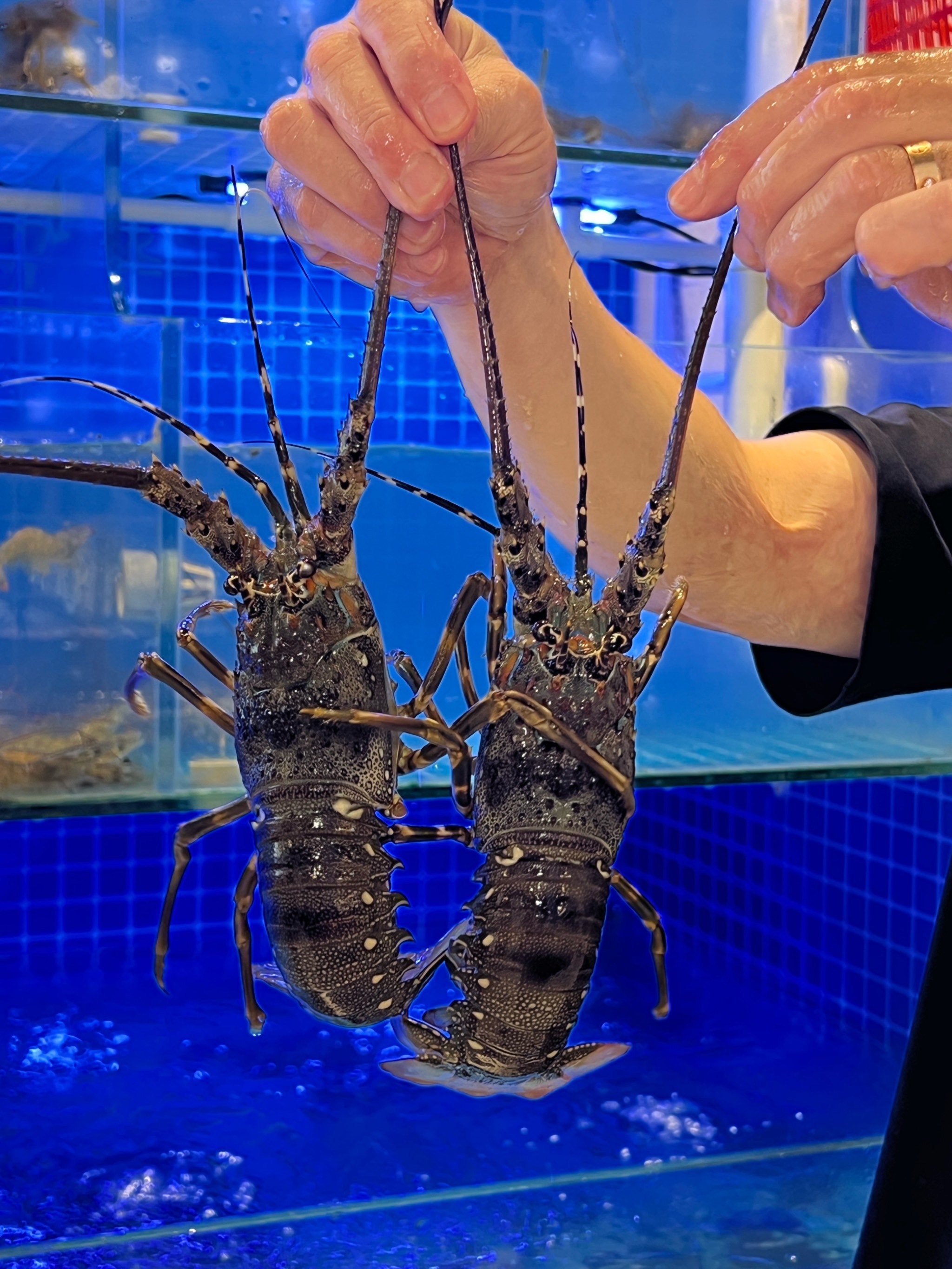 黃貝/大連黃貝/刀貝/大連海鮮海之宴1000(g)
