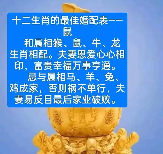 老鼠和羊可以結婚嗎生肖屬老鼠的和生肖屬羊的婚配如何