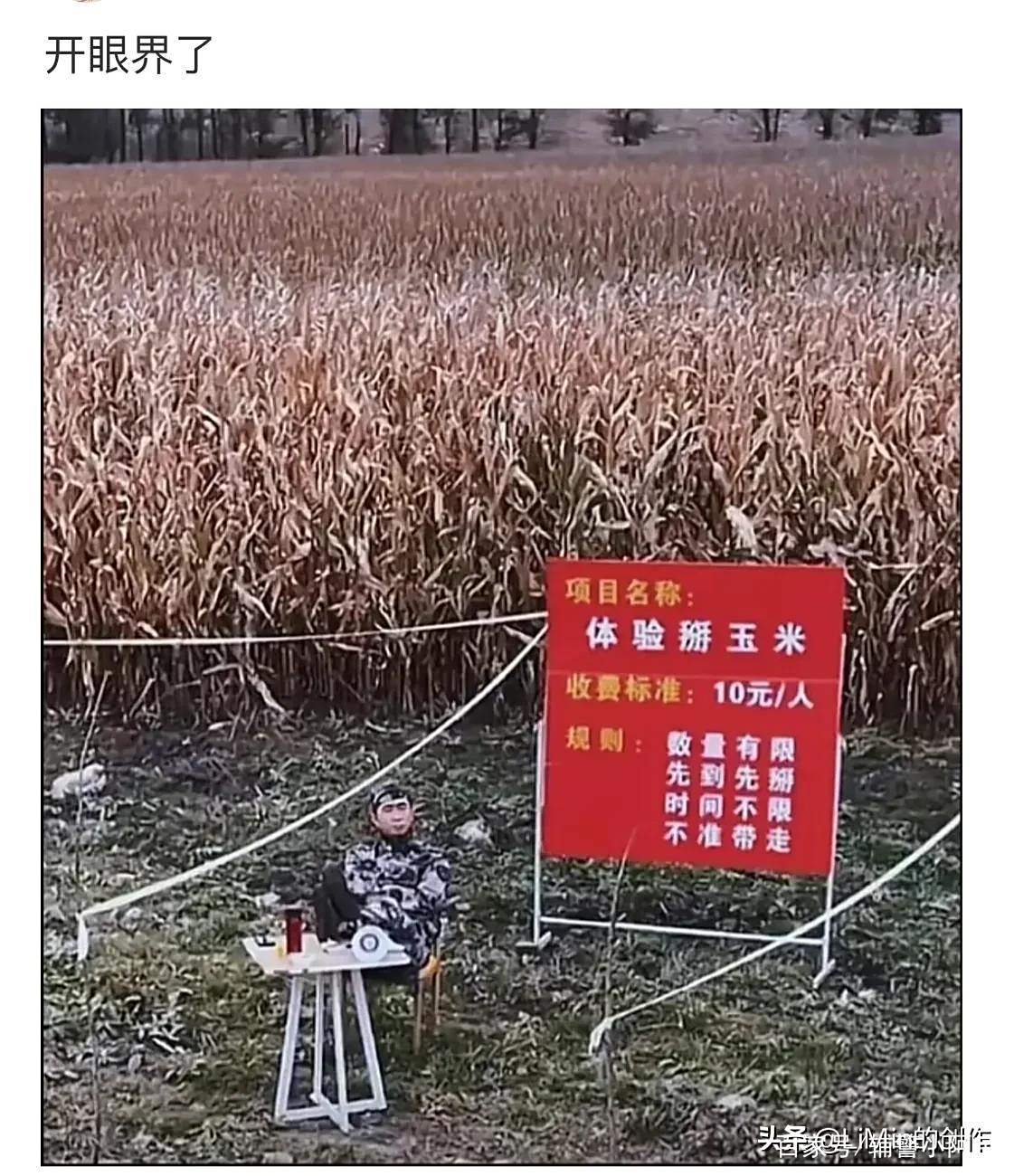 就怕流氓有文化 上一句
